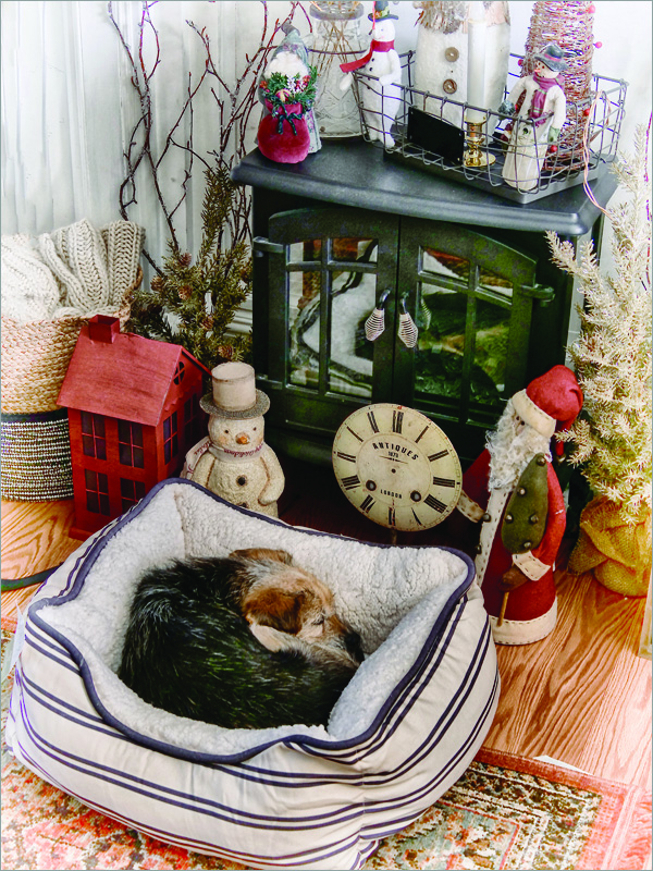 Arturo Armando Cozy and Warm Pictorial   Class A 20260415